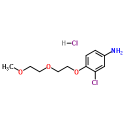 3-Chloro-4-[2-(2-methoxyethoxy)ethoxy]aniline hydrochloride (1:1)结构式