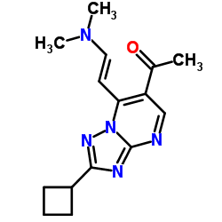 1-[2-cyclobutyl-7-[(E)-2-(dimethylamino)vinyl]-[1,2,4]triazolo[1,5-a]pyrimidin-6-yl]ethanone结构式