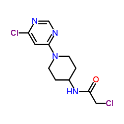 2-Chloro-N-[1-(6-chloro-4-pyrimidinyl)-4-piperidinyl]acetamide结构式