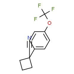 1-(4-(三氟甲氧基)苯基)环丁烷-1-腈图片