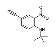 4-(tert-butylamino)-3-nitrobenzonitrile picture