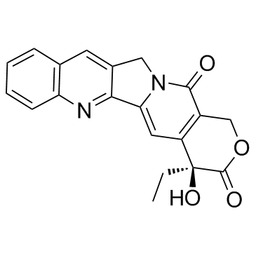 Campathecin Structure