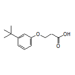3-[3-(叔丁基)苯氧基]丙酸结构式