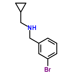 1019506-79-6 structure