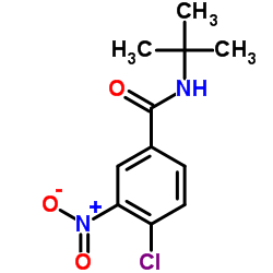 N-tert-Butyl-4-chloro-3-nitrobenzamide Structure