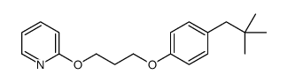 2-[3-[4-(2,2-dimethylpropyl)phenoxy]propoxy]pyridine结构式