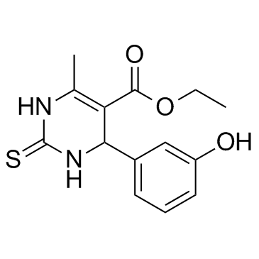 Monastrol Structure