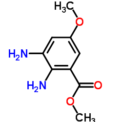 569668-24-2 structure