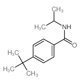 Benzamide, 4-(1,1-dimethylethyl)-N-(1-methylethyl)-结构式