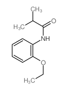 N-(2-ethoxyphenyl)-2-methyl-propanamide picture