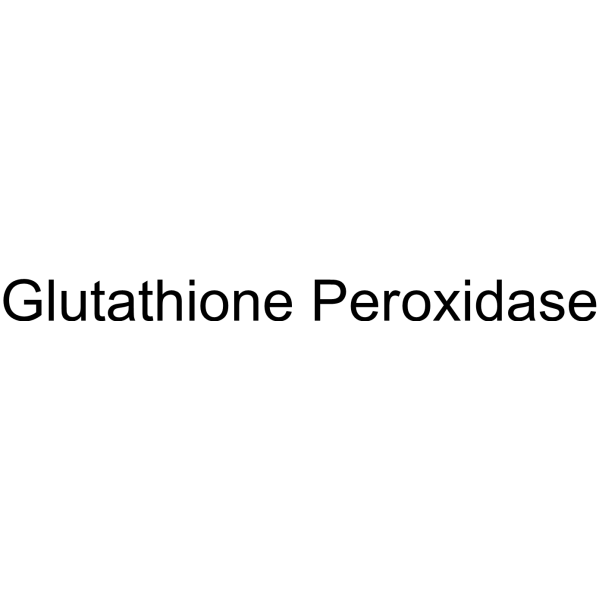 Glutathione Peroxidase, from bovine erythrocytes structure