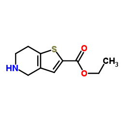 4,5,6,7-四氢噻吩[3,2-C]吡啶-2-甲酸乙酯图片