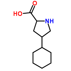 Streptodornase Structure