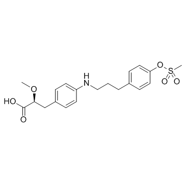 PPAR激动剂1结构式