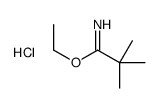 2,2-Dimethyl-propionimidic acid ethyl ester hydrochloride picture