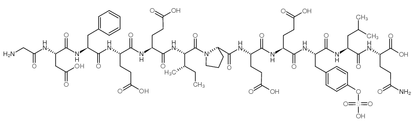 甘氨酰-天冬氨酰-苯丙氨酰-谷氨酰-谷氨酰-异亮氨酰-脯氨酰-谷氨酰-谷氨酰-硫酸化酪氨酰-亮氨酰-谷氨酰胺结构式