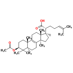 174391-64-1 structure