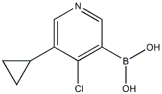 5-(cyclopropyl)-4-chloropyridine-3-boronic acid Structure