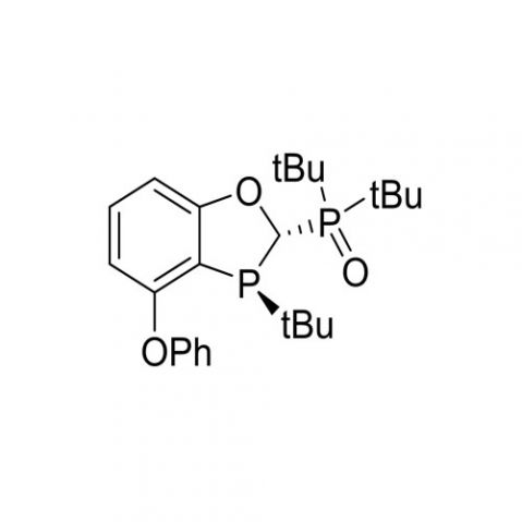 di-tert-butyl((2S,3S)-3-(tert-butyl)-4-phenoxy-2,3-dihydrobenzo[d][1,3]oxaphosphol-2-yl)phosphine oxide结构式