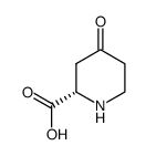 (S)-4-Oxopiperidine-2-carboxylic acid structure