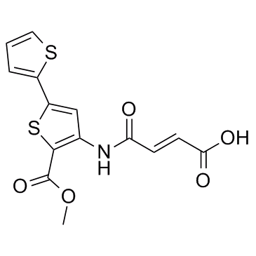 HTS01037 Structure