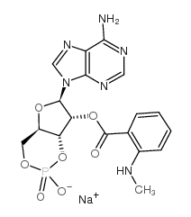 mant-camp sodium salt Structure