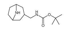 Carbamic acid, N-(8-azabicyclo[3.2.1]oct-3-ylmethyl)-, 1,1-dimethylethyl ester Structure