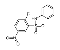 2-chloro-5-nitro-N-phenylbenzenesulfonamide Structure