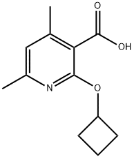 2-cyclobutoxy-4,6-dimethylpyridine-3-carboxylic acid Structure