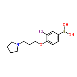 (3-chloro-4-(3-(pyrrolidin-1-yl)propoxy)phenyl)boronic acid picture