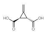 499-02-5结构式