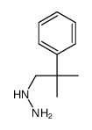 1-(2-甲基-2-苯基丙基)肼结构式