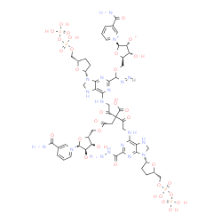 N(2),N(2)'-adipodihydrazido-bis-(N(6)-carbonylmethyl-NAD) structure