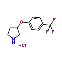 3-[4-(Trifluoromethyl)phenoxy]-pyrrolidine HCl Structure