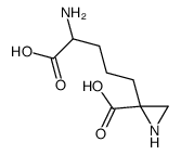 2-(4-amino-4-carboxybutyl)-2-aziridinecarboxylic acid picture