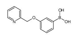 3-(吡啶-2-基甲氧基)苯硼酸图片