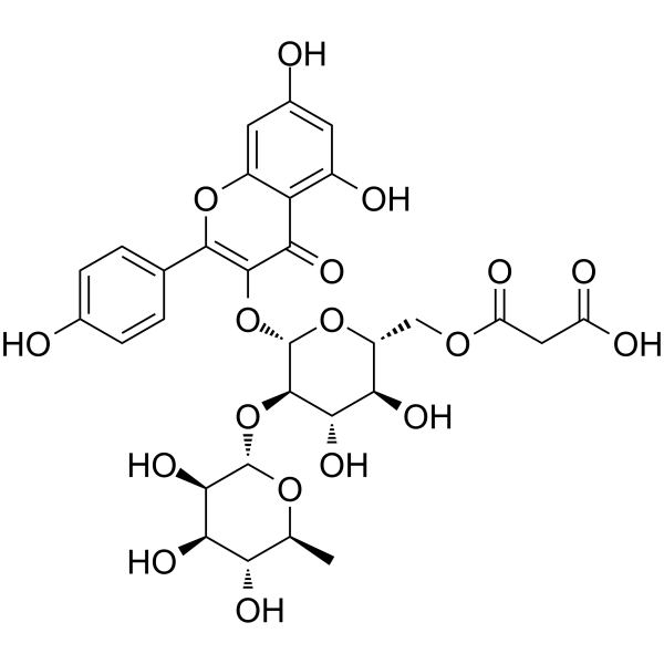 Kaempferol 3-O-(2′′-O-α-rhamnosyl-6′′-O-malonyl-β-glucoside) Structure