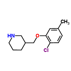 3-[(2-Chloro-5-methylphenoxy)methyl]piperidine结构式