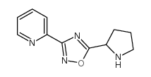 2-(5-PYRROLIDIN-2-YL-[1,2,4]OXADIAZOL-3-YL)-PYRIDINE picture