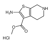 2-氨基-4,5,6,7-四氢噻吩并[2,3-c]吡啶-3-羧酸甲酯盐酸盐图片