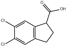 5,6-二氯-2,3-二氢-1H-茚-1-羧酸图片