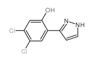 3-(4,5-DICHLORO-2-HYDROXYPHENYL)PYRAZOLE picture