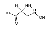 L-2-Amino-3-hydroxylamino-propionsaeure Structure