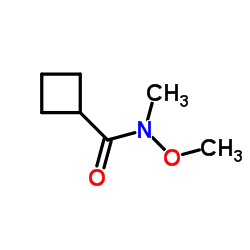 N-甲氧基-N-甲基环丁甲酰胺结构式