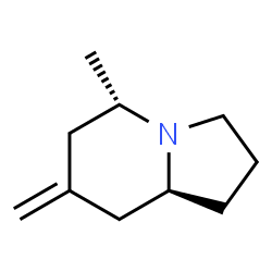 Indolizine, octahydro-5-methyl-7-methylene-, (5S,8aS)- (9CI) structure