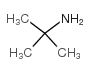 tert-Butylamine Structure