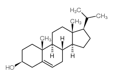 1042-59-7 structure