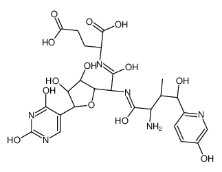 Nikkomycin pseudo-J Structure