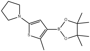 2-Methyl-5-(pyrrolidino)thiophene-3-boronic acid pinacol ester结构式