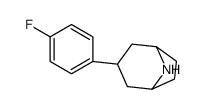 3-(4-fluorophenyl)-8-azabicyclo[3.2.1]octane structure